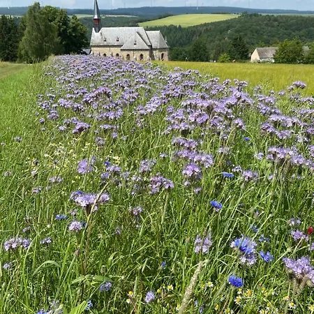 Ferienhaus Hunolstein Holiday home *